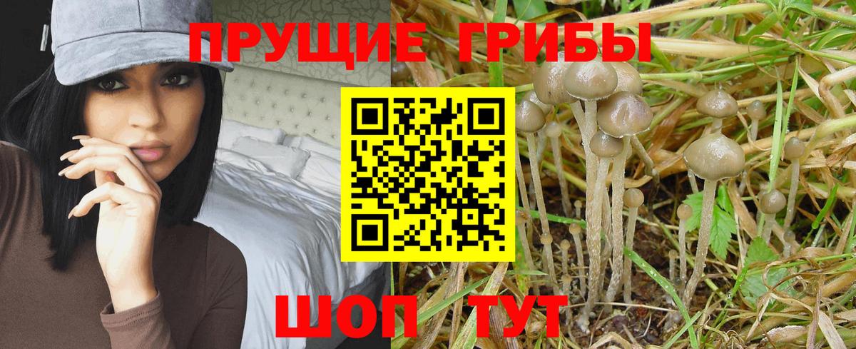 Верхняя Салда  Галлюциногенные грибы мухоморы  Вход с VPN 